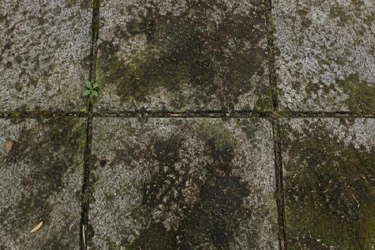 Dirty patio stones
